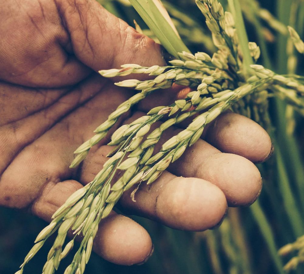 about-our-sustainability-promise