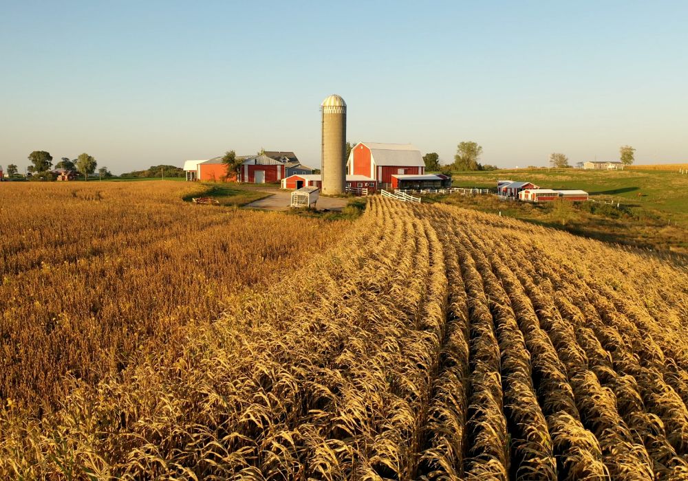 duraphos-fall-applied