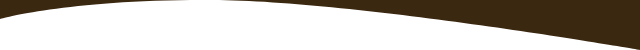 section-separator-ttbrown-white-left-mobile