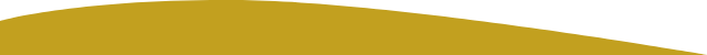 section-separator-white-dpgold-left-mobile